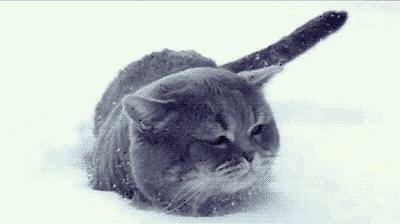 雪地靴怎么选才能显高又显腿长,拒绝臃肿