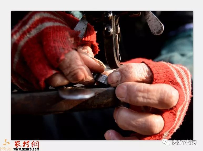 田建羊:天冷了不光要加衣更需要一碗驴丸粉汤