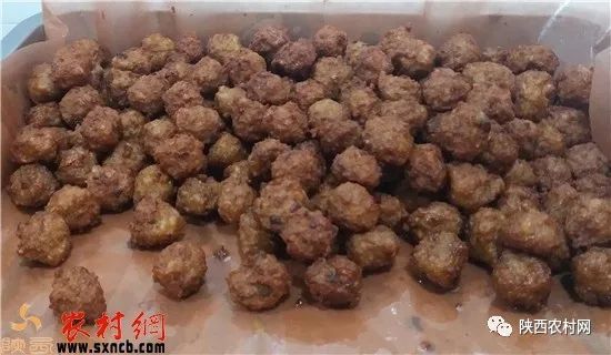 田建羊:天冷了不光要加衣更需要一碗驴丸粉汤