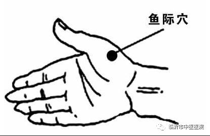 赵文毅医生,中医院赵文毅