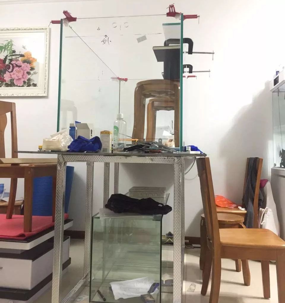 历时4个月,亲手做的缸终于运行!