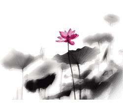 绍兴发展宣传片,绍兴本地宣传