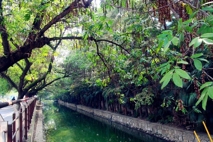 2018年玄武、雨花要逆天！看完再也不想离开……