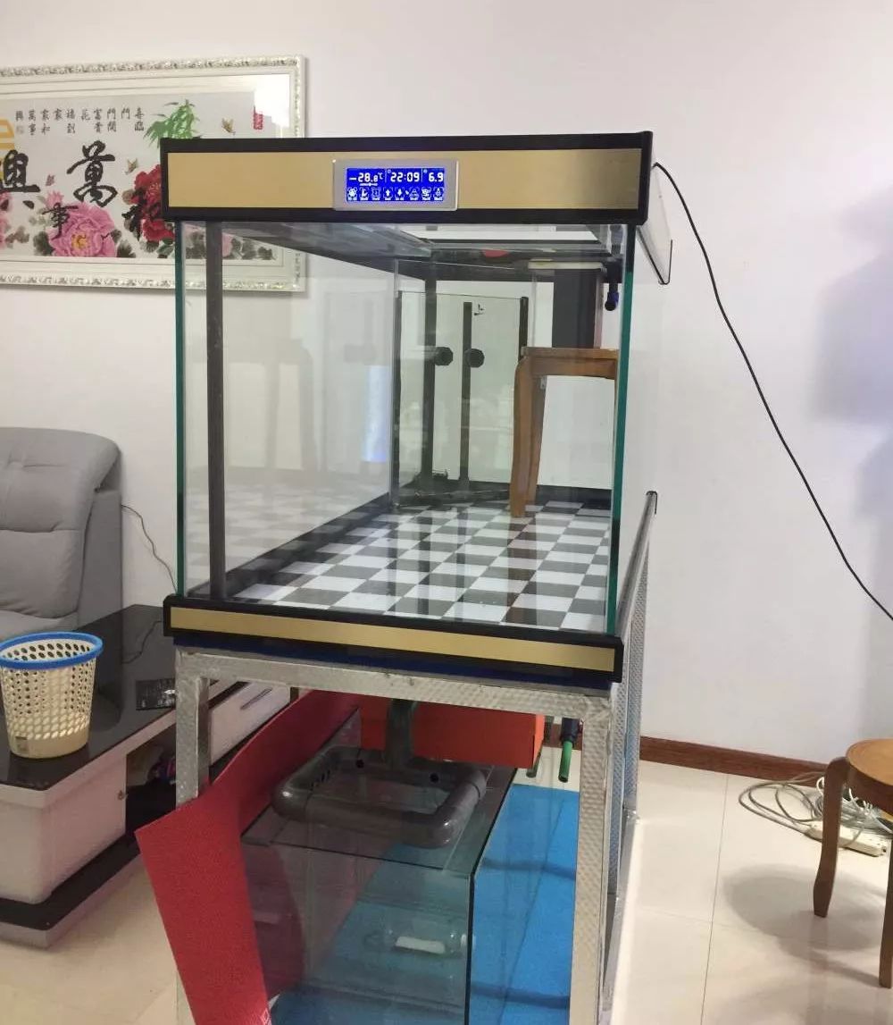 历时4个月,亲手做的缸终于运行!