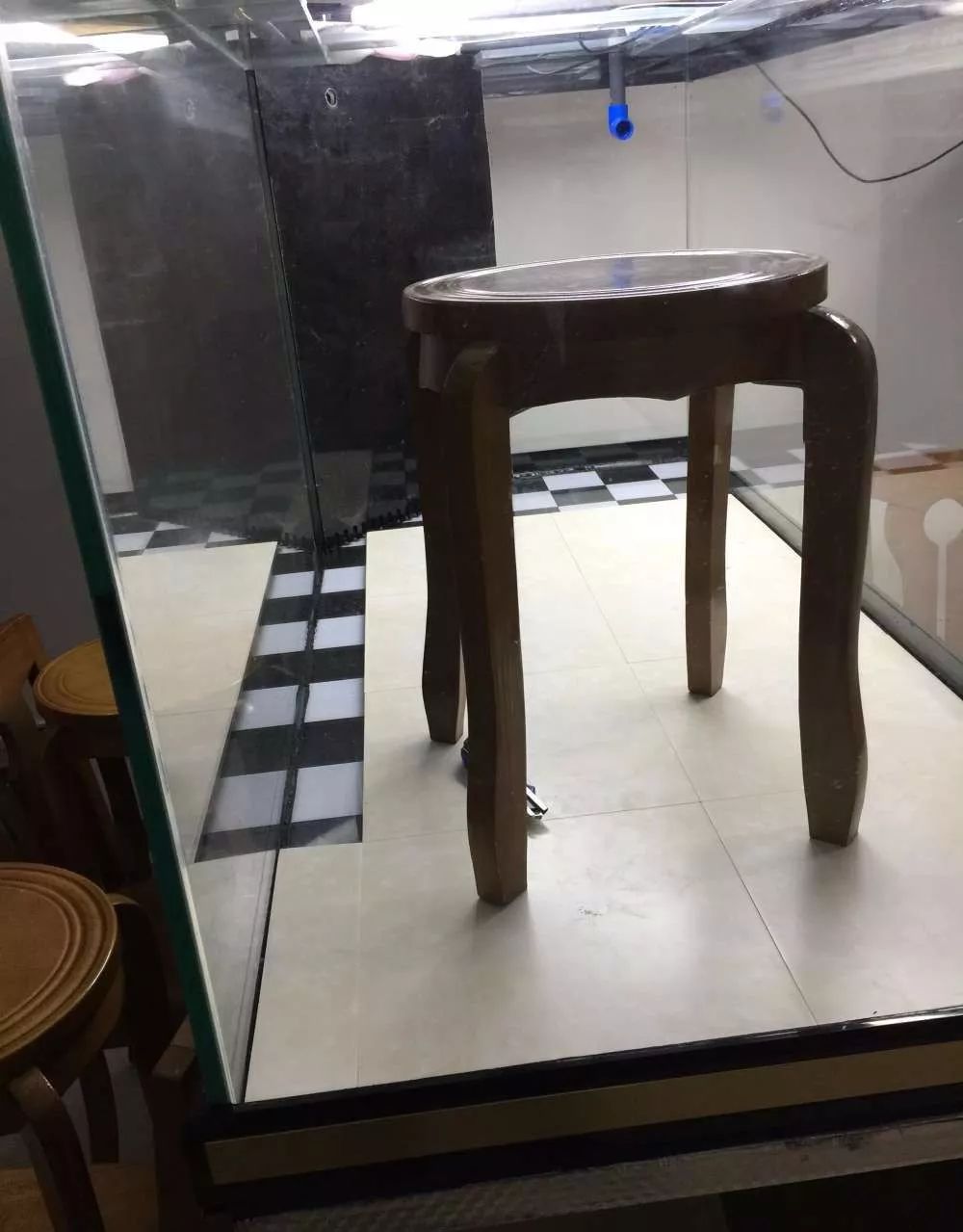 历时4个月，亲手做的缸终于运行！