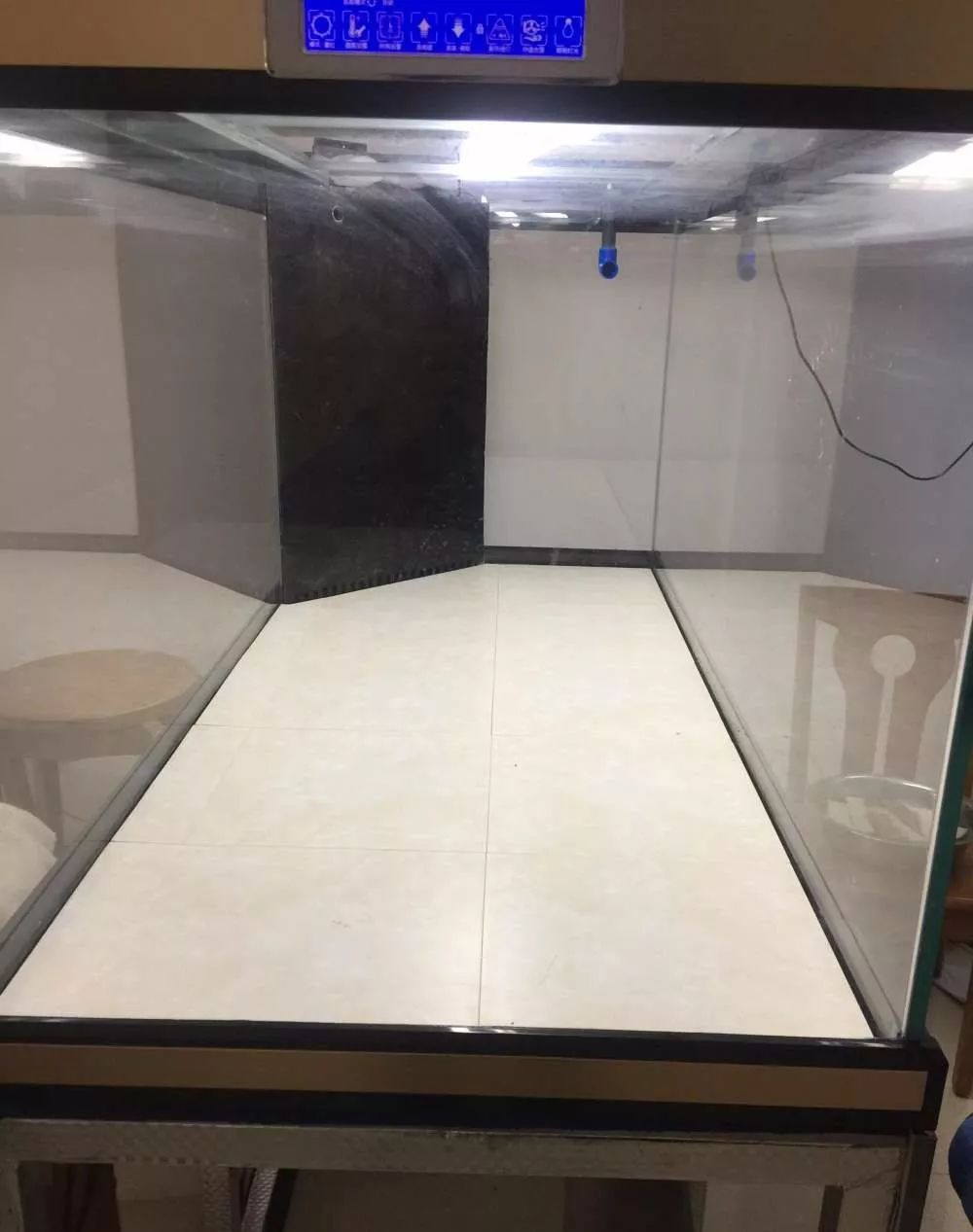 历时4个月,亲手做的缸终于运行!