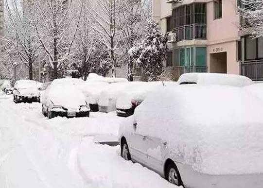 大雪后的爱车,大雪后如何清除车上的雪