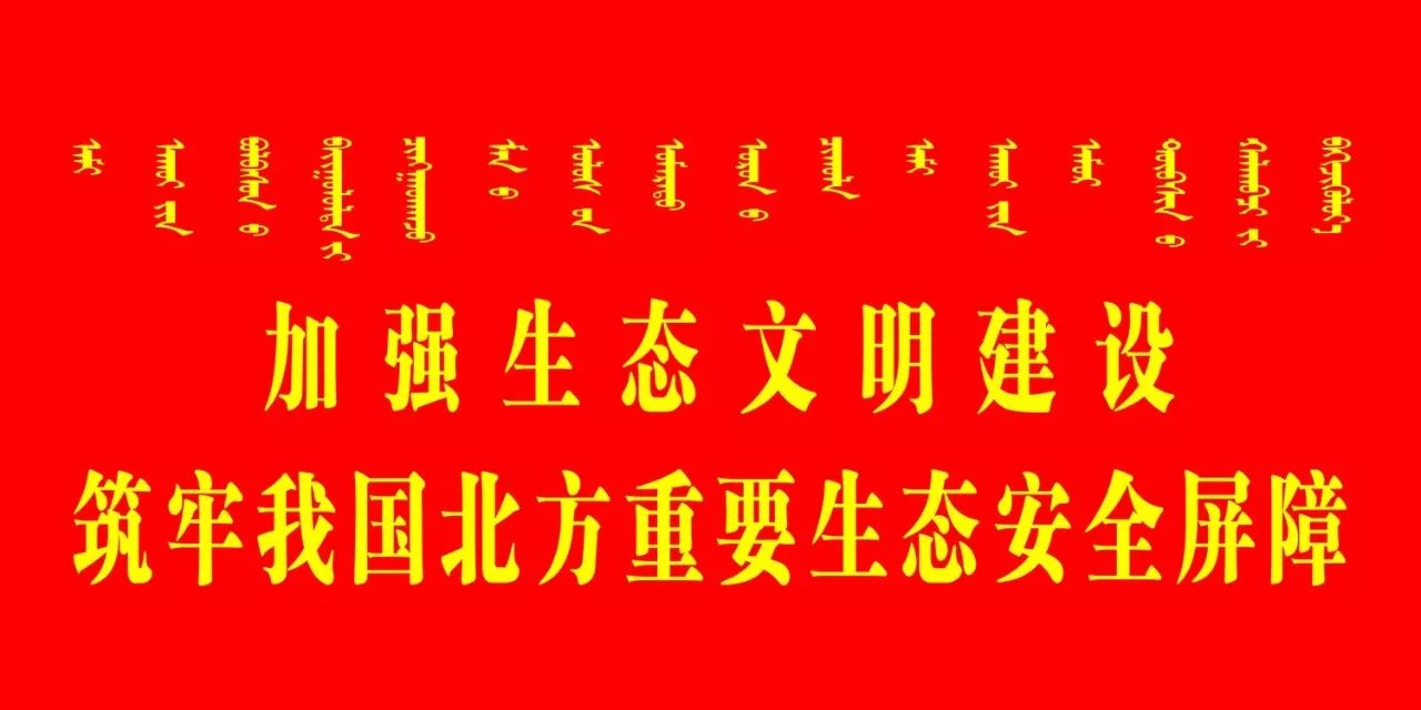 包头的历史文化简介,包头文化底蕴