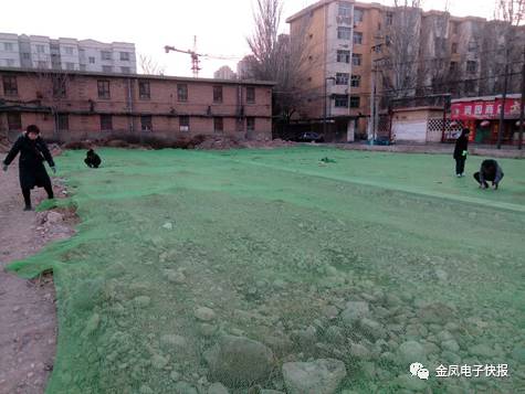 金凤区共同参与齐治理全力做好大气污染防治工作