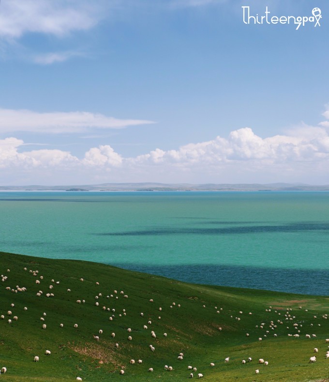 带着小三去旅行,带着小四去旅游