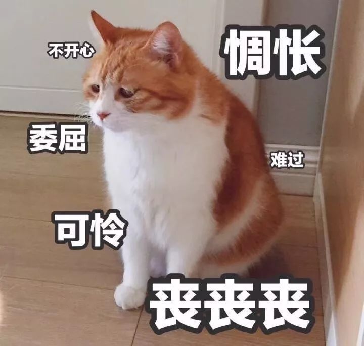 “年度恐怖大片”支付宝账单来了！花了16万的他在城中区竟排名……