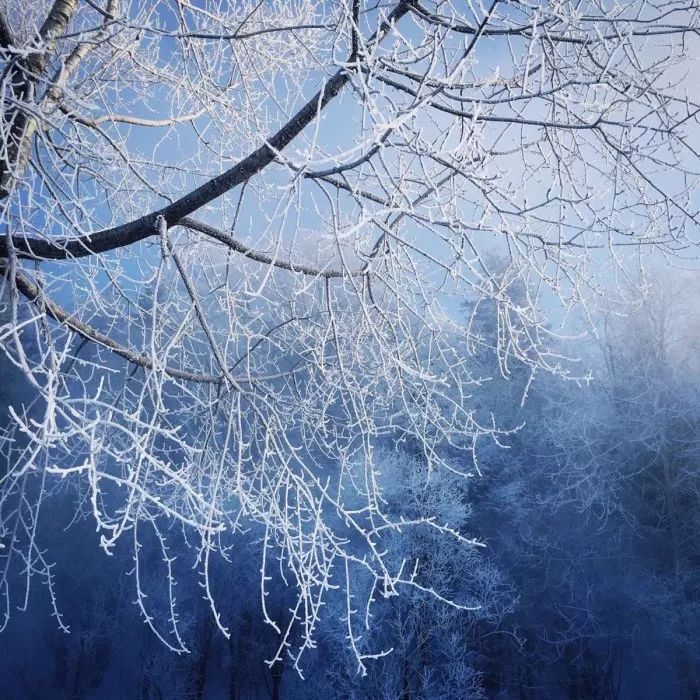 恋与制作人能玩到头吗,恋与制作人相伴时光