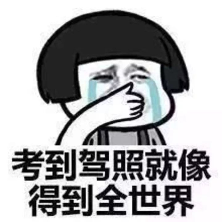 乐山驾校哪些比较好,驾驶培训排名前十名