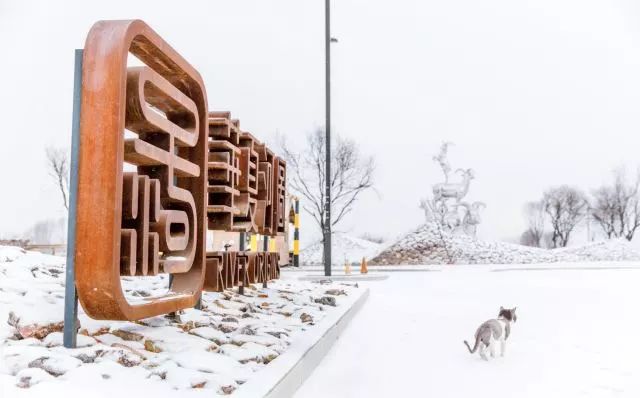 银川冬季风景优美的地方,银川冬天拍照好看的地方