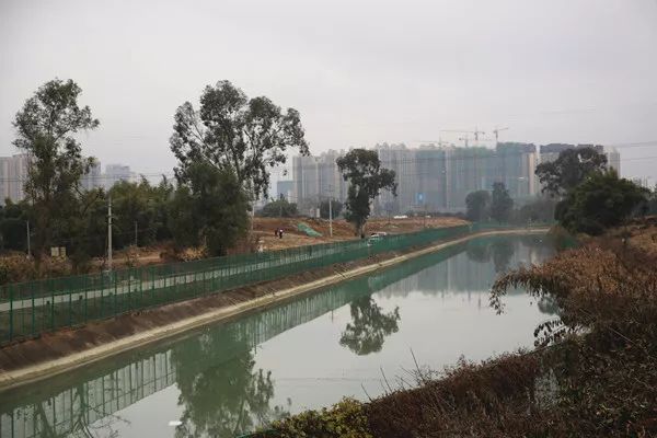 龙泉人的生活现状,龙泉人的生活怎么样