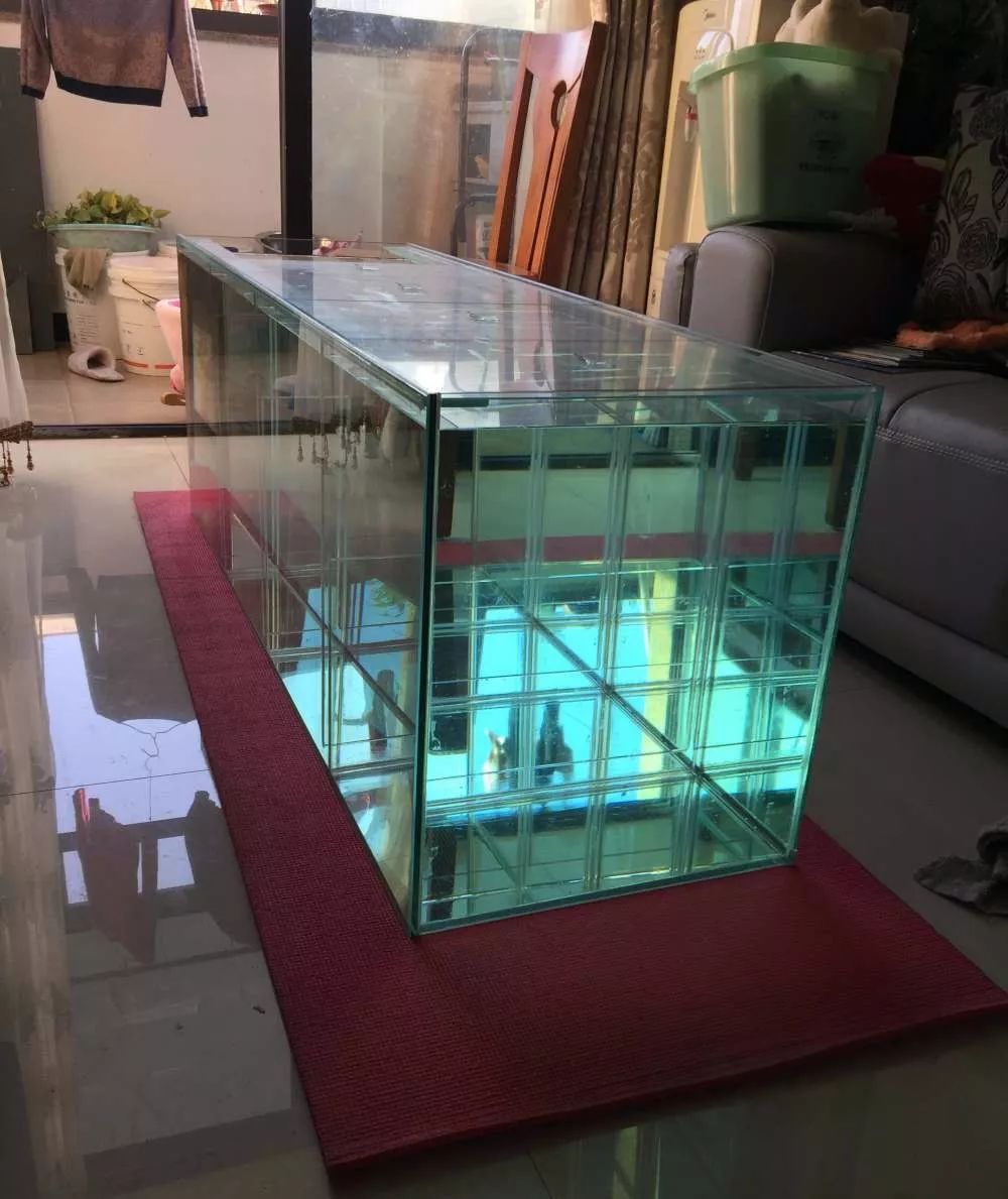 历时4个月,亲手做的缸终于运行!