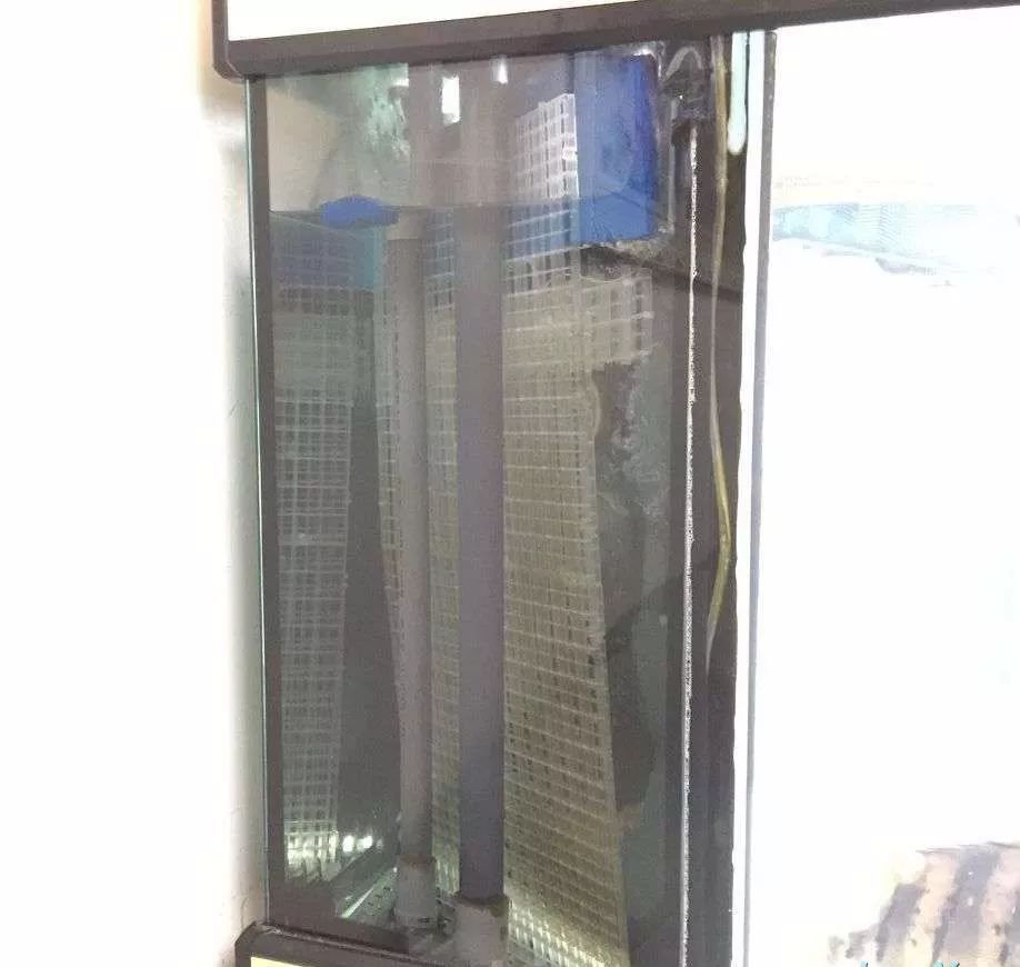 历时4个月,亲手做的缸终于运行!