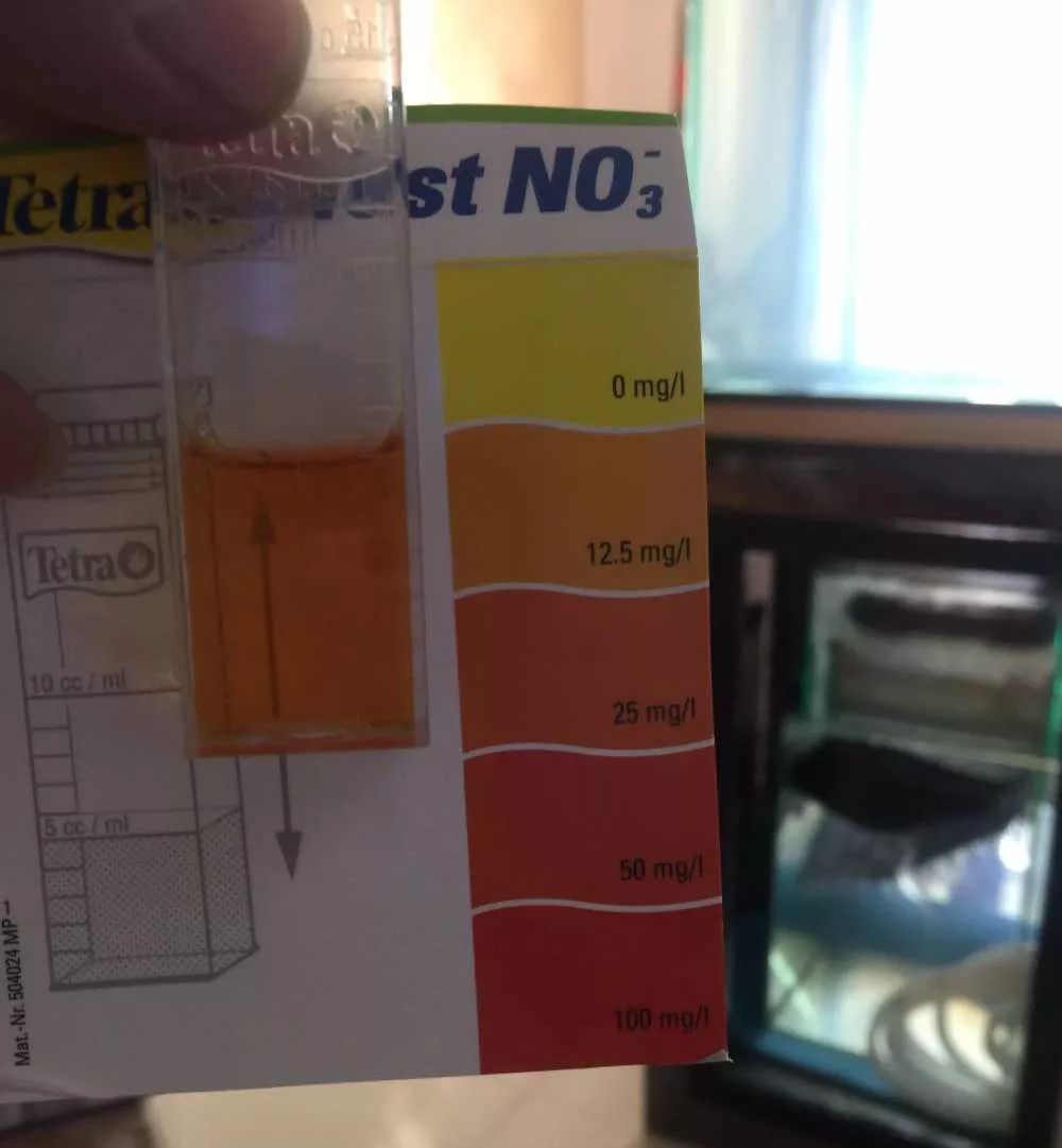 历时4个月,亲手做的缸终于运行!