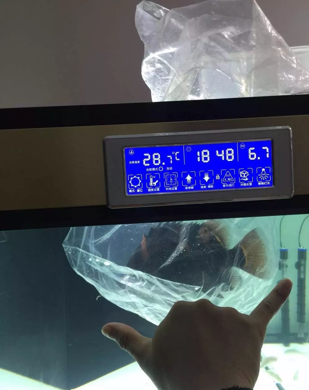 历时4个月,亲手做的缸终于运行!