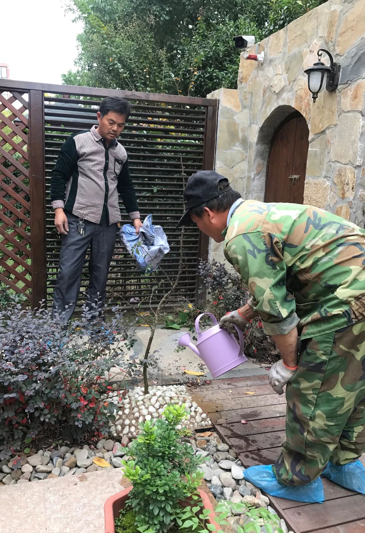 凤凰艺术,凤凰艺术是怎么来的