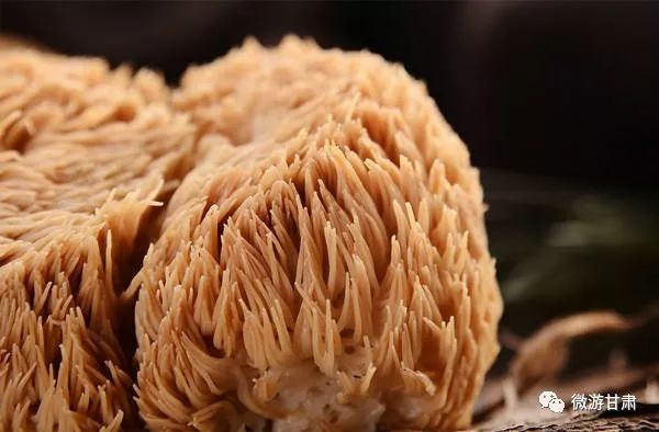 康县的猴头菇,陇南康县特产香菇干