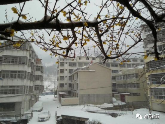 雪花赞美词,雪花飘飘北风萧萧