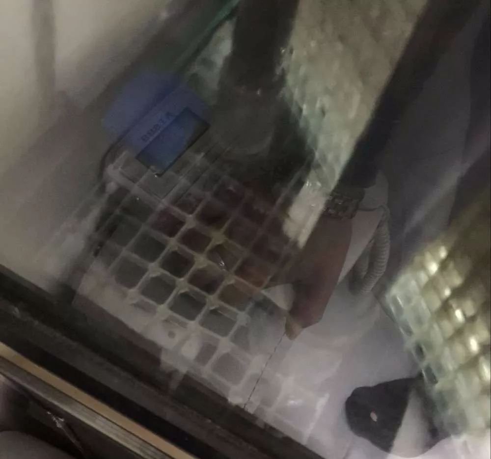 历时4个月,亲手做的缸终于运行!