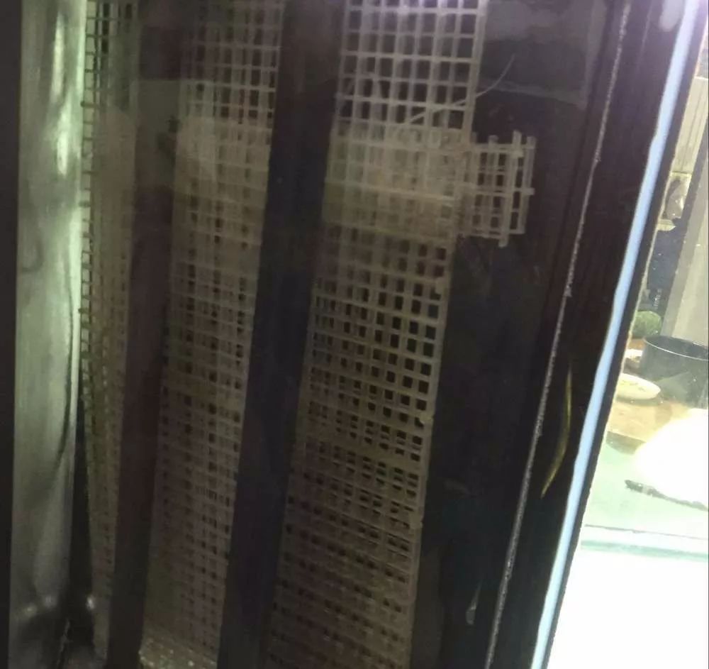 历时4个月,亲手做的缸终于运行!