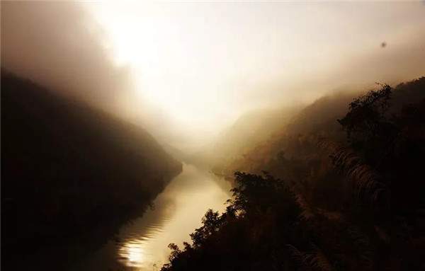 景迈山红印品鉴级普洱熟茶357g,景迈山古树茶0085什么口感