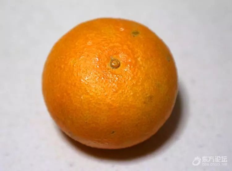 “果中爱马仕”!宁波这种本地桔子,店里一只卖20元!