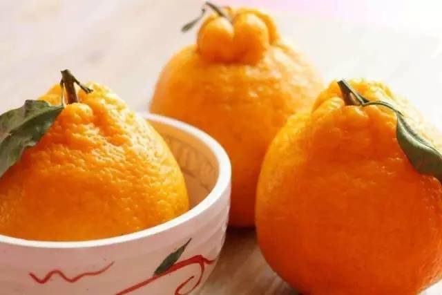 “果中爱马仕”!宁波这种本地桔子,店里一只卖20元!