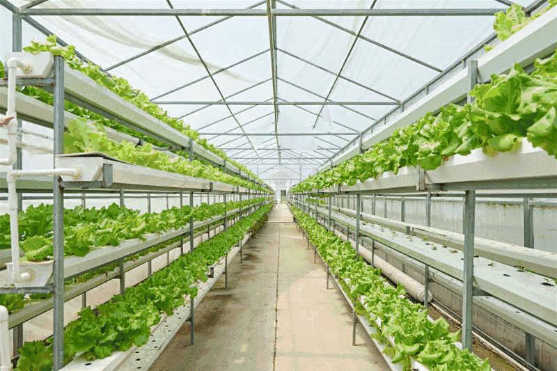 天冷了火锅肯定是不二之选了,适合天冷的火锅