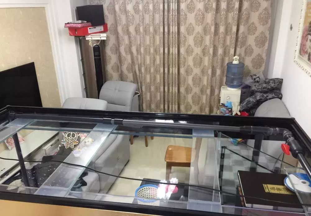 历时4个月,亲手做的缸终于运行!