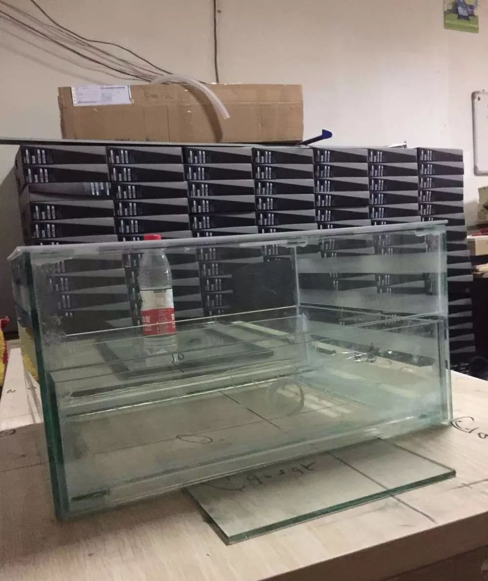 历时4个月,亲手做的缸终于运行!