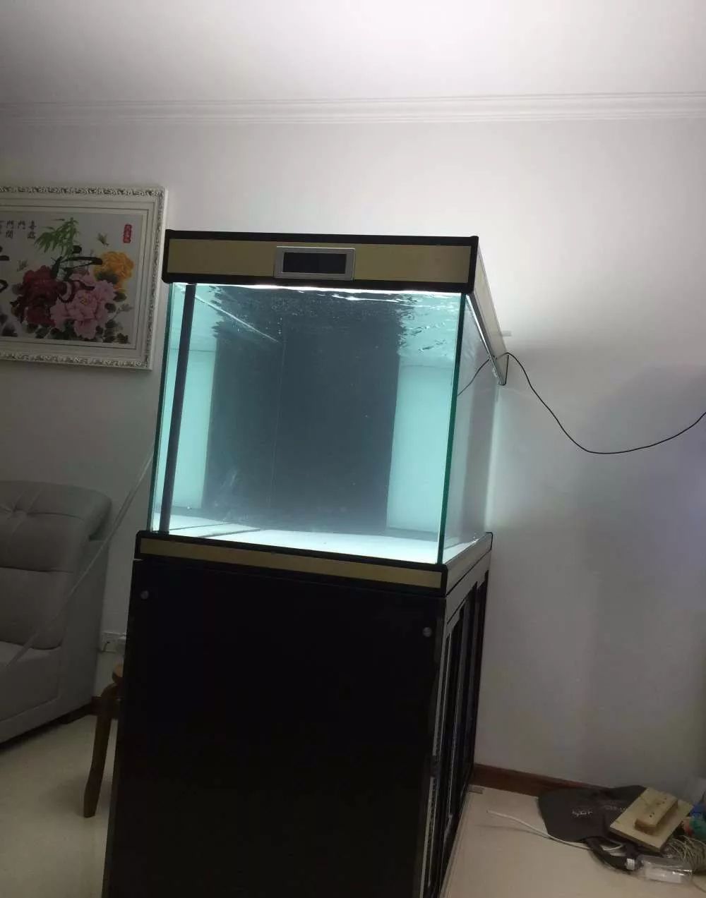 历时4个月,亲手做的缸终于运行!