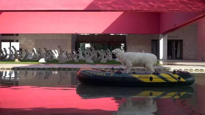 凤凰艺术,凤凰艺术是怎么来的