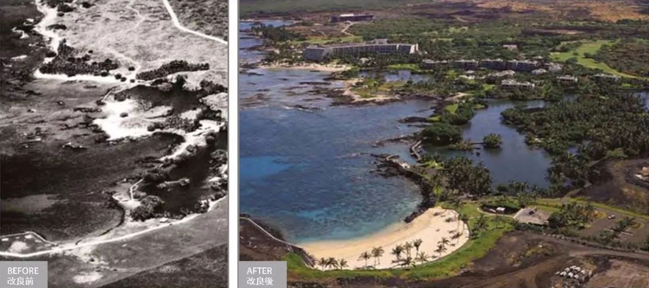 景观设计可以做的课题,景观设计可以做什么