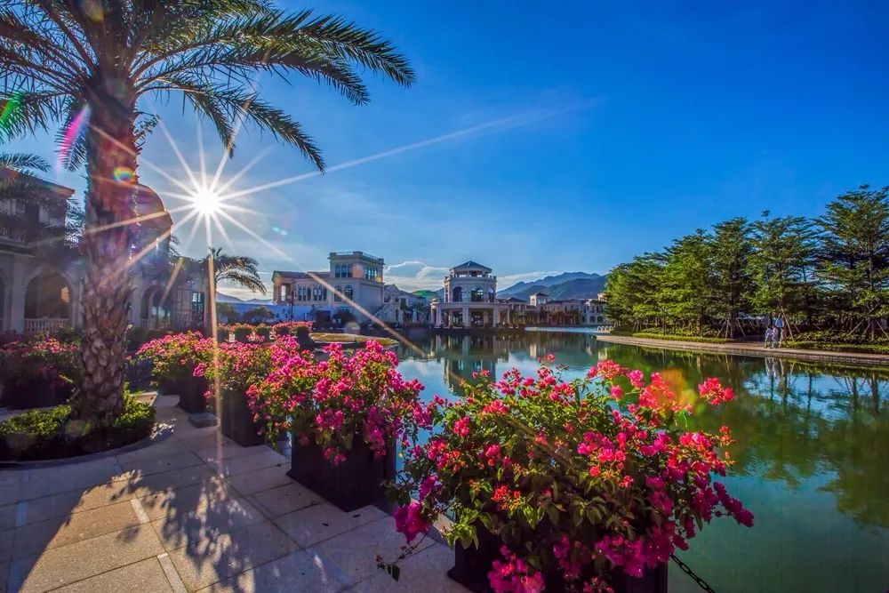 景观设计可以做的课题,景观设计可以做什么