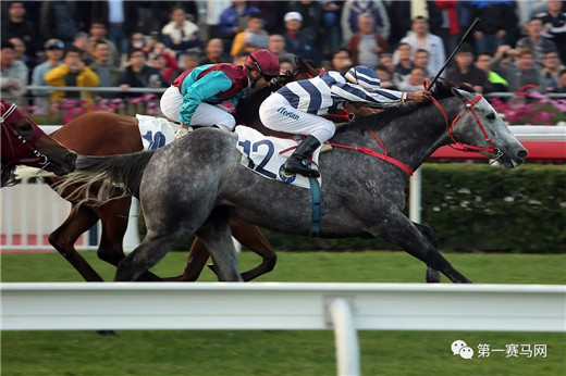 香港“好运1月1赛马日”落幕，“五十五十”夺华商会挑战杯