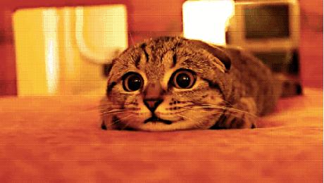 口腔溃疡反反复复是癌症的前兆吗,经常性口腔溃疡是癌症的前兆吗