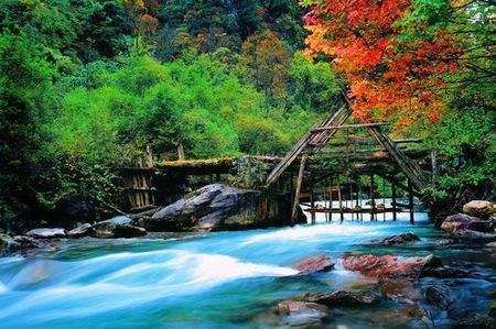 雅康高速雅泸段二郎山隧道群,雅康高速要经过川藏第一桥吗