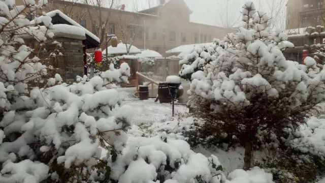 银川冬季风景优美的地方,银川冬天拍照好看的地方