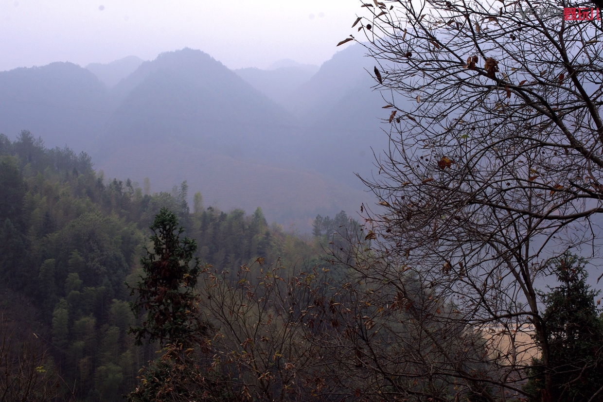 thenorthface营地鞋穿搭,thenorthface越野徒步鞋评测