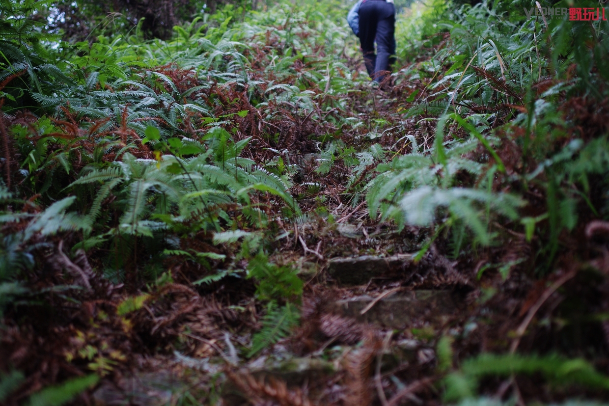 thenorthface营地鞋穿搭,thenorthface越野徒步鞋评测