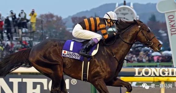 港媒报道香港赛马会打经济牌反击澳大利亚检疫初步措施