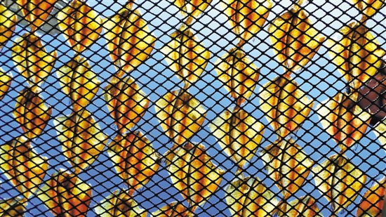 带你重新认识广东旅游名城