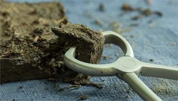 普洱茶神仙喝法,普洱茶品鉴秘籍