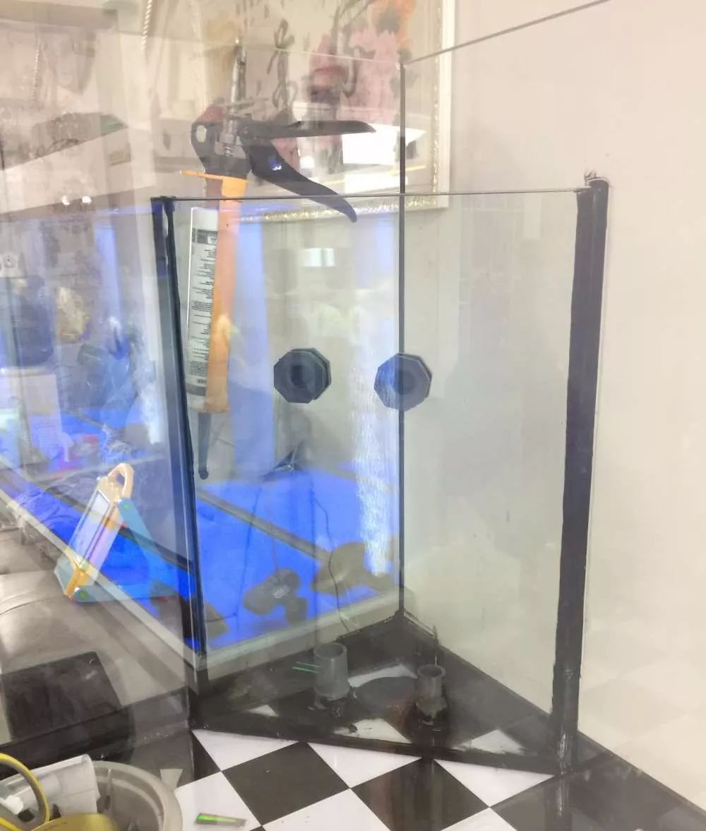 历时4个月,亲手做的缸终于运行!