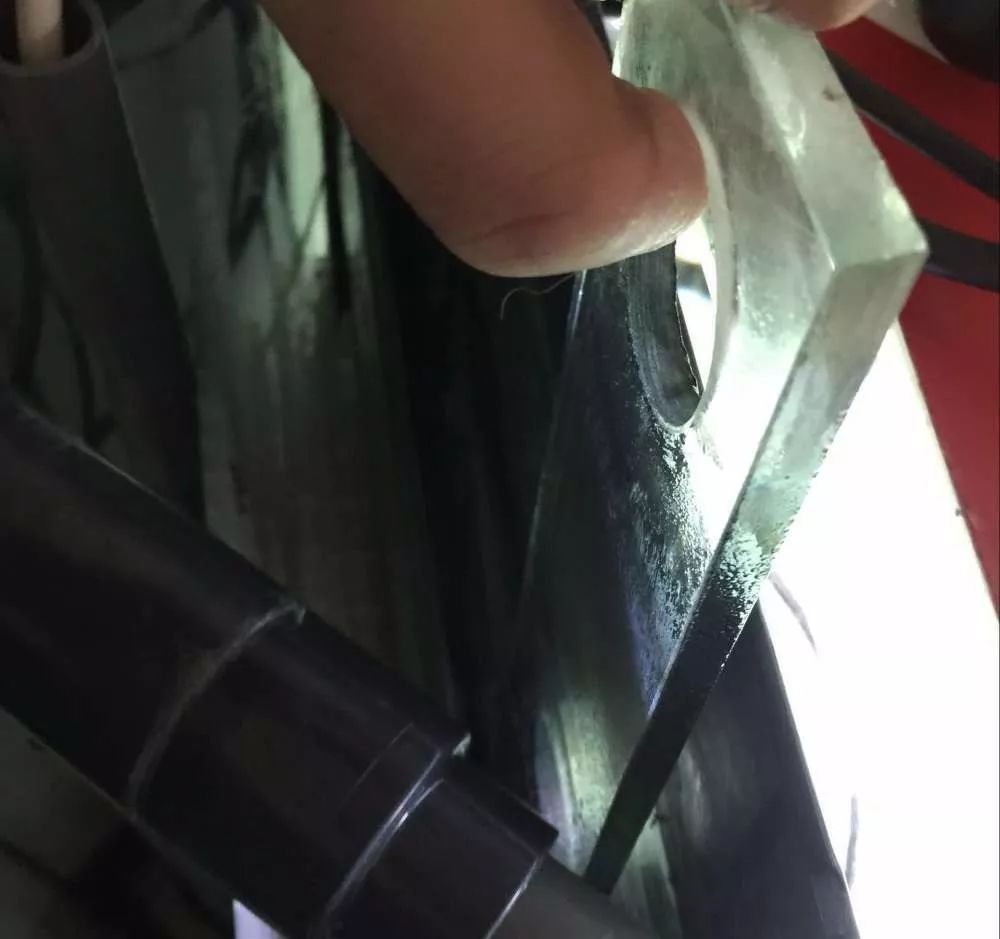 历时4个月,亲手做的缸终于运行!