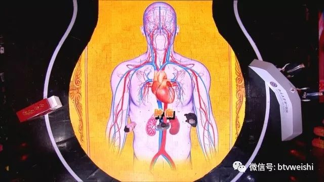 养生堂今天节目预告,今日养生堂节目表